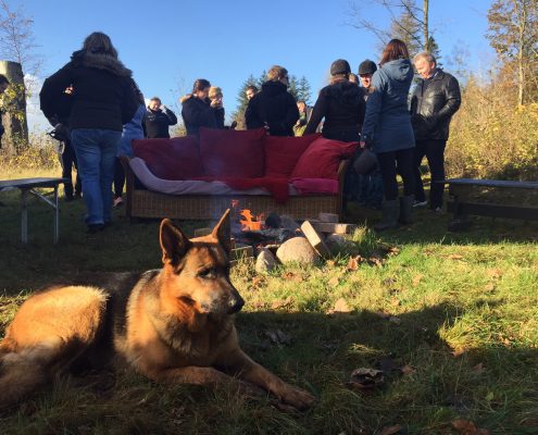 Hunden er vores trofaste følgesvend på hele turen